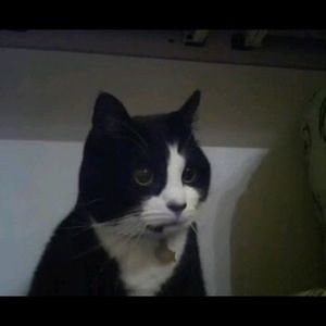 Meet your Posher, Pete